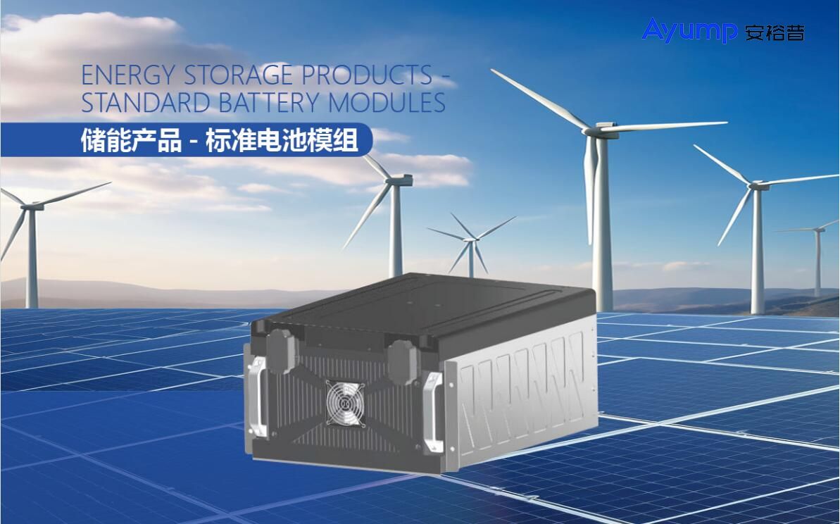 儲能產(chǎn)品 標準電池模組 儲能產(chǎn)品 標準電池模組